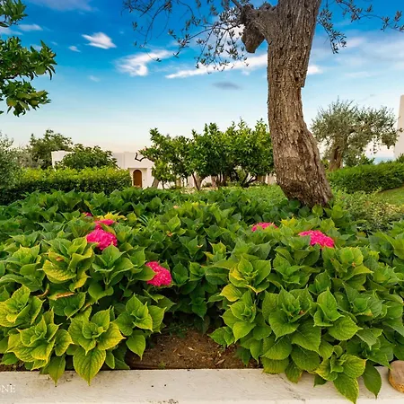 Hotel Baia Delphis Vasto