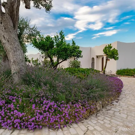 Hotel Baia Delphis