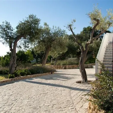 Baia Delphis 4* 바스토