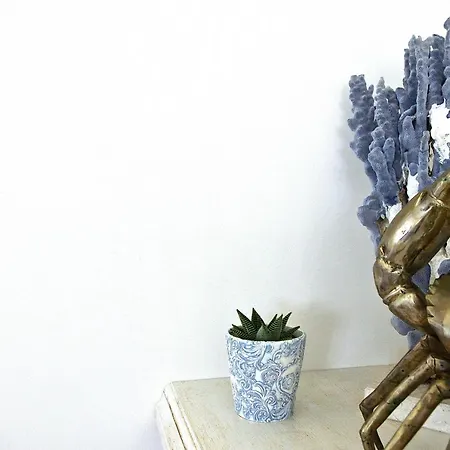 拜亚戴菲斯度假酒店