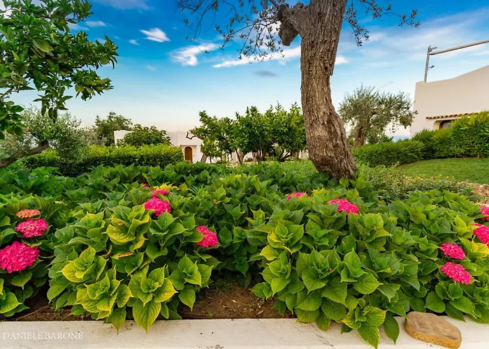 Hotel Baia Delphis Vasto